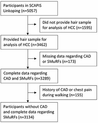 Standard Modifiable Cardiovascular Risk Factors Mediate the Association Between Elevated Hair Cortisol Concentrations and Coronary Artery Disease